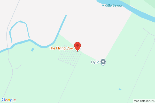 Flying Cow the