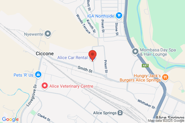Allie Auto Rental