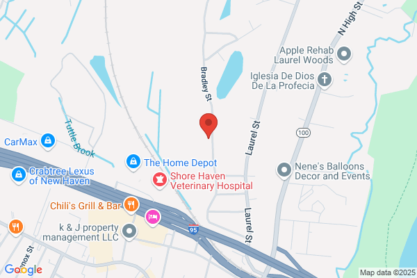 Gorilla Dumpster Rentals