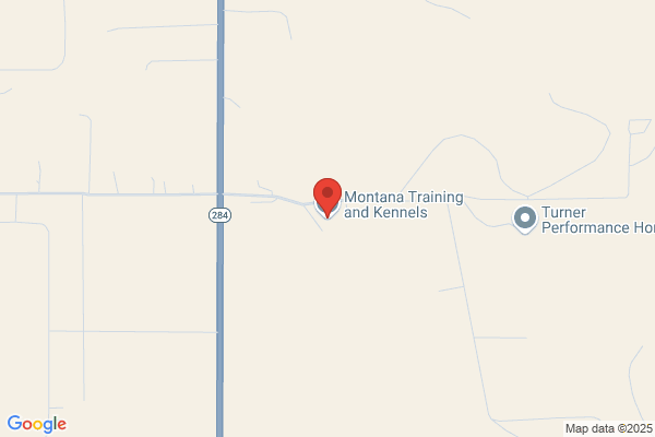 Montana Training and Kennels