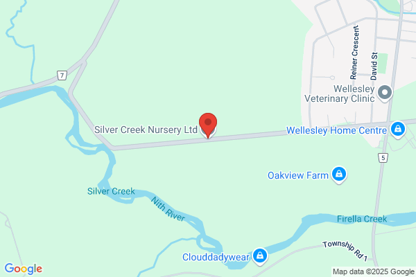 Silver Creek Nursery