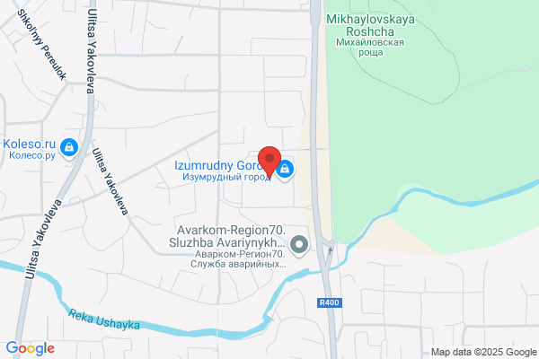 Service Electric