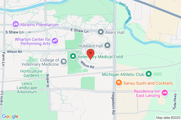 MSU Health Care