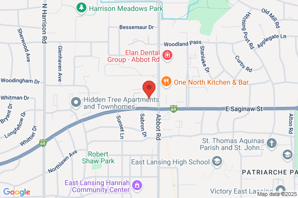 Michigan Programers Insurance Agency
