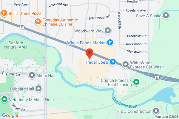 AAA East Lansing
