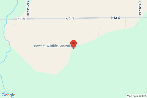 Bowers Wildlife Control