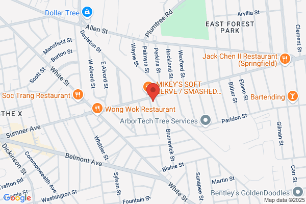 Springfield Jewelry & Diamond
