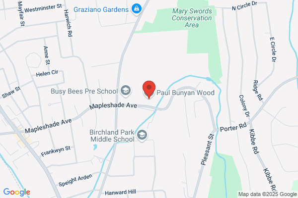 Paul Bunnyan Wood Co Inc