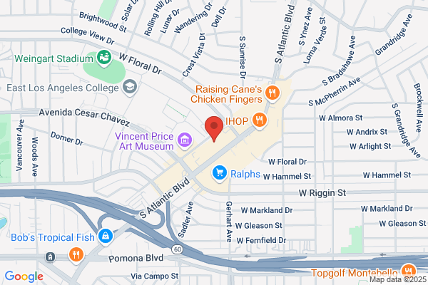 Central Dental Group Inc