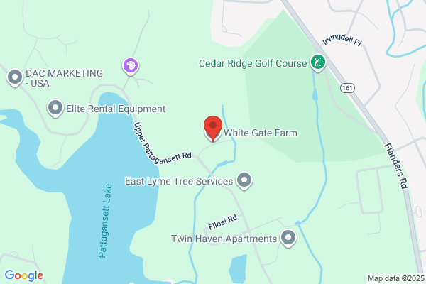 White Gate Services Inc