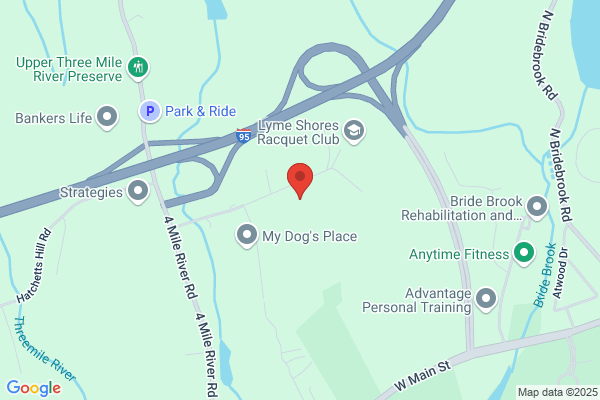Hayes Services LLC | Dumpster Rental | Tree Removal | Junk Removal