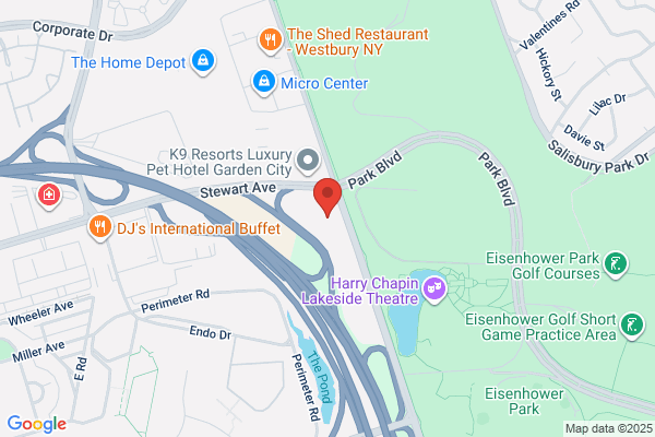 NY Orthopedics