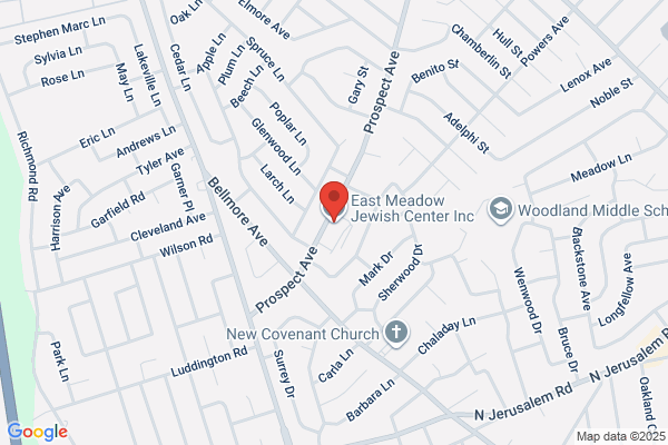East Meadow Jewish Center Inc