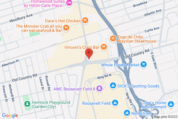 Carle Place Diner