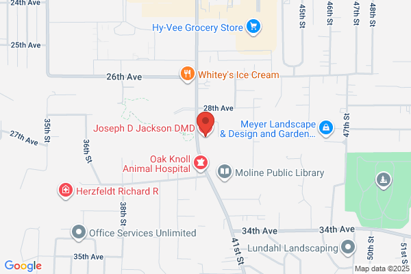 Joseph D. Jackson, DMD
