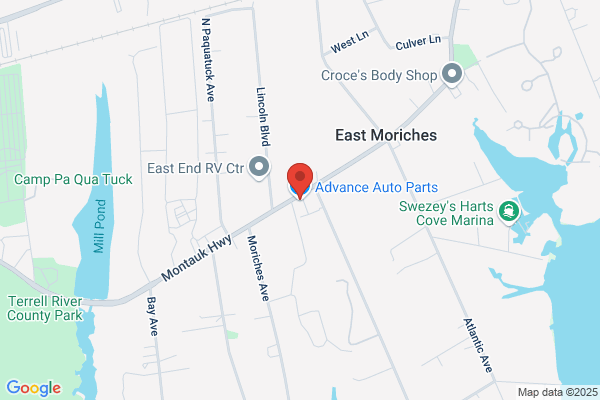Advance Auto Parts