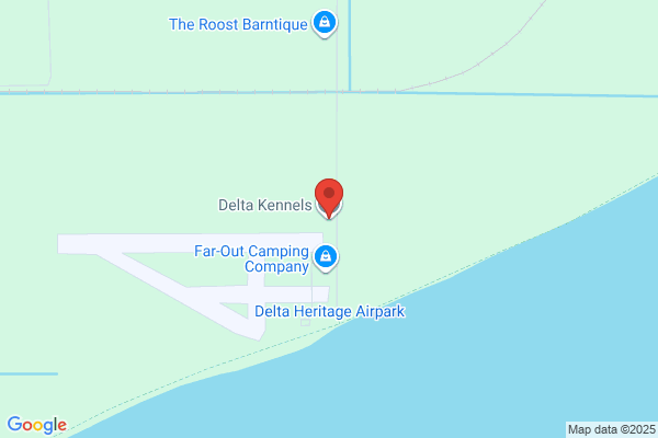 Delta Pond Kennels Canine-Feline Boarding & Recuperation