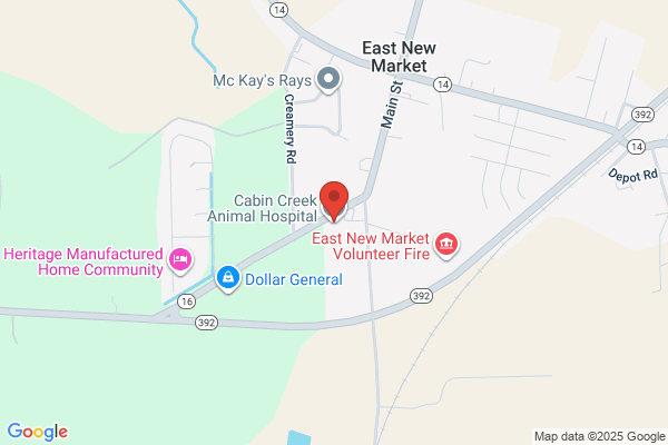 Cabin Creek Animal Hospital