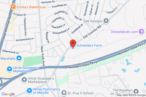 Schneiders
