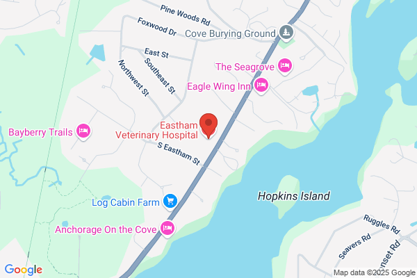 Lower Cape Veterinary Services  - Eastham