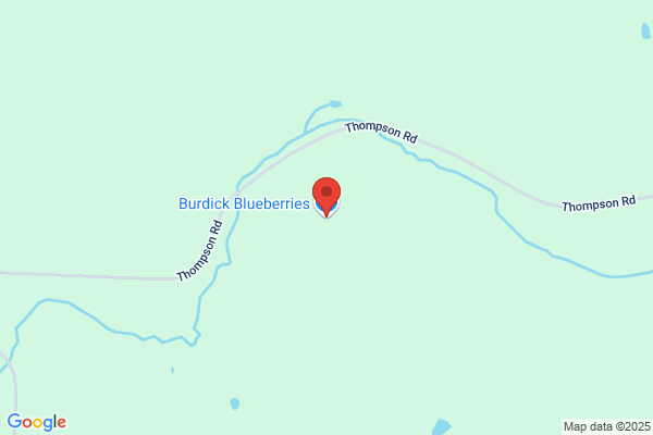 Burdick Blueberries