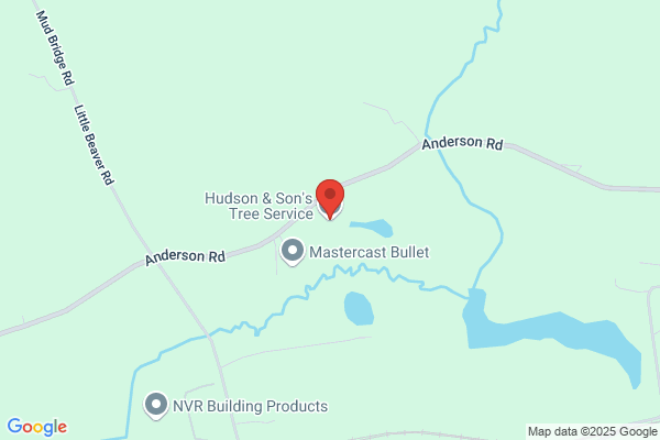 Hudson & Sons Tree Service