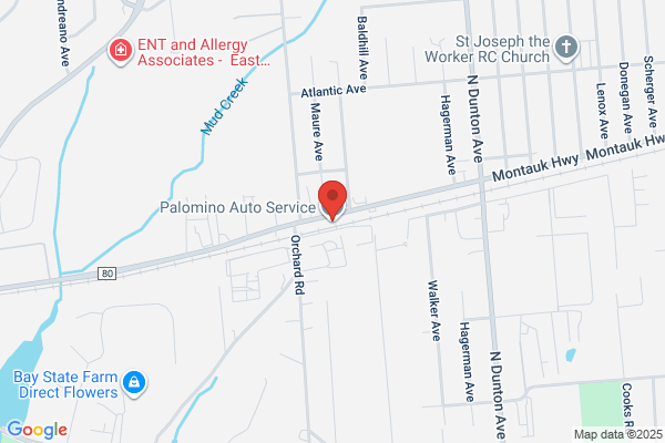 Palomino Auto Service Corporation