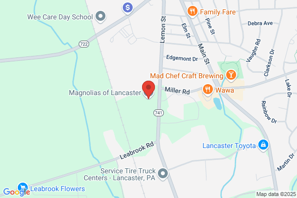 Magnolias Of Lancaster