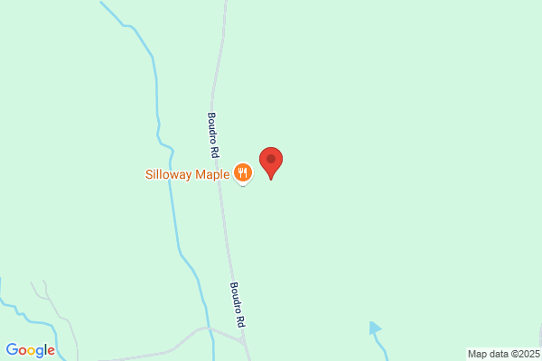 Silloway Maple