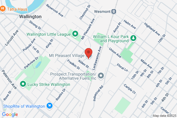Mount Pleasant Village
