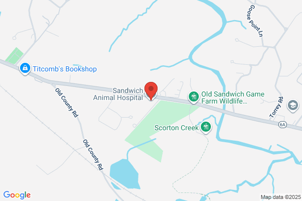 Sandwich Animal Hospital