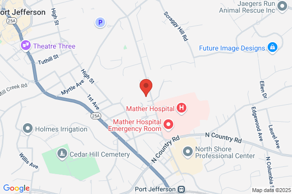 Hussain Hamid MD