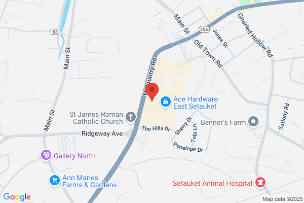 Setauket Village Diner