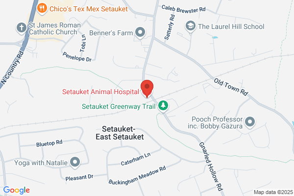 Mark Sibley - Setauket Animal Hospital