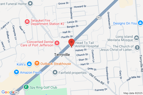 Selden Animal Hospital
