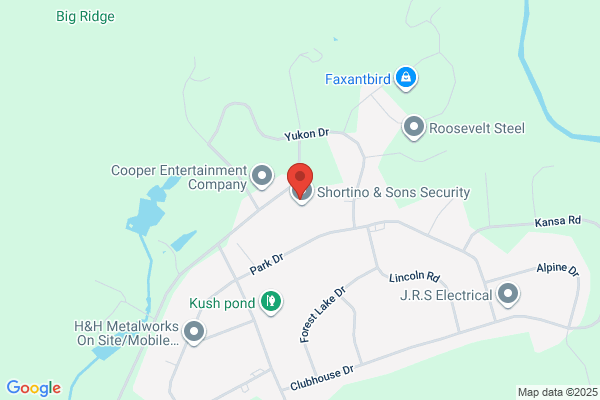 Shortino & Sons Security Inc