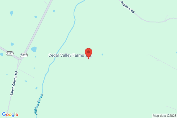 Cedar Valley , Inc.