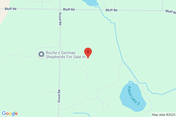 Chapman Hills Camp