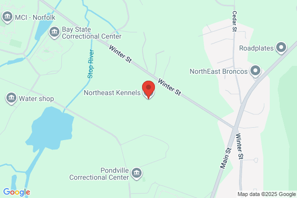 Maguire Kennels
