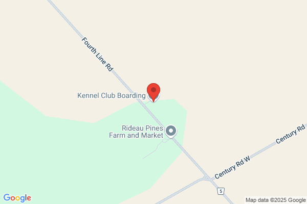 Club Pet Boarding Kennel