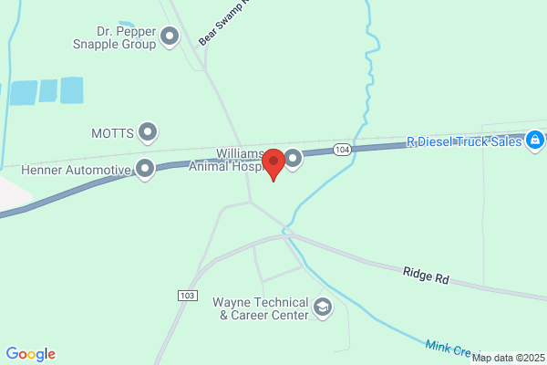 Williamson Pediatrics