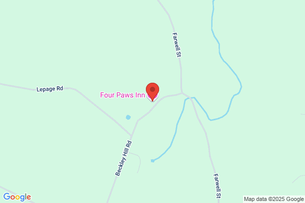 Four Paws Inn