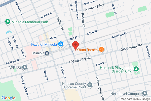 Levitt Steven Attorney