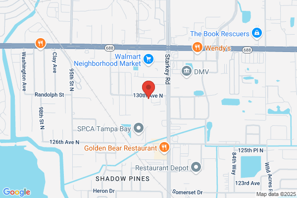 Water Damage Restoration Professionals in Eastlake Weir