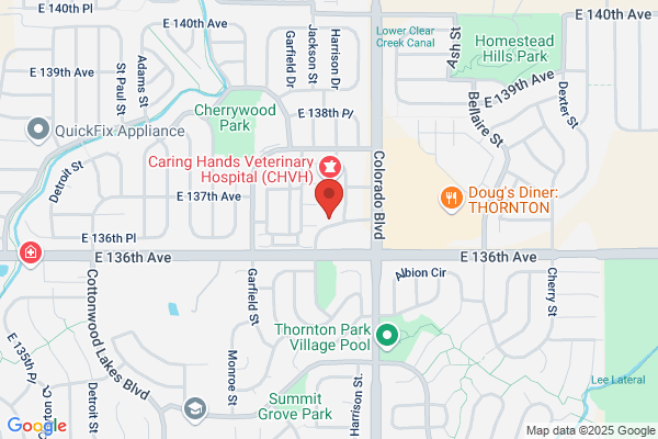 Comfort Dental Braces Hunters Glen – Your Trusted Orthodontist in Thornton