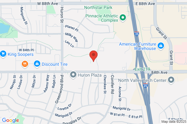 Professional Auto Dent Service Inc