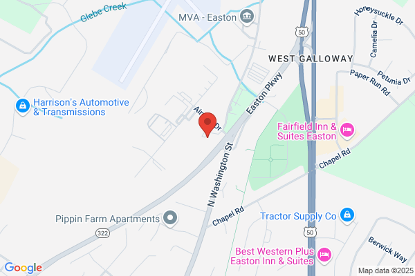 Easton Veterinary Clinic and Rehabilitation Center