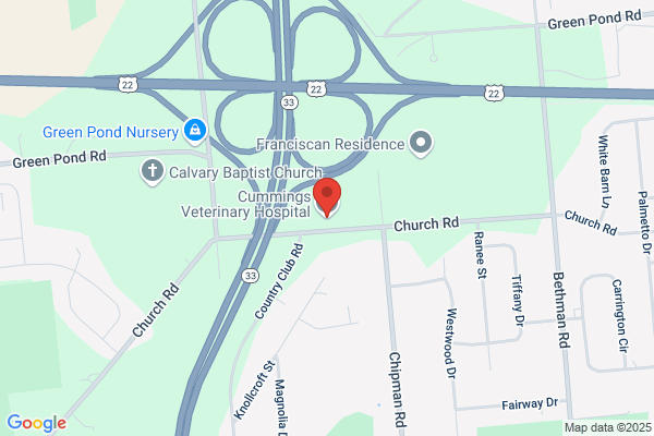 Cummings Veterinary Hospital LLC