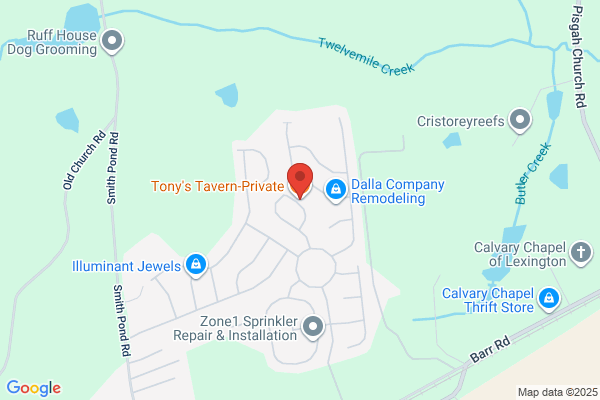 Tony's Lounge