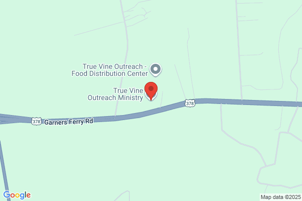 True Vine Outreach Ministry